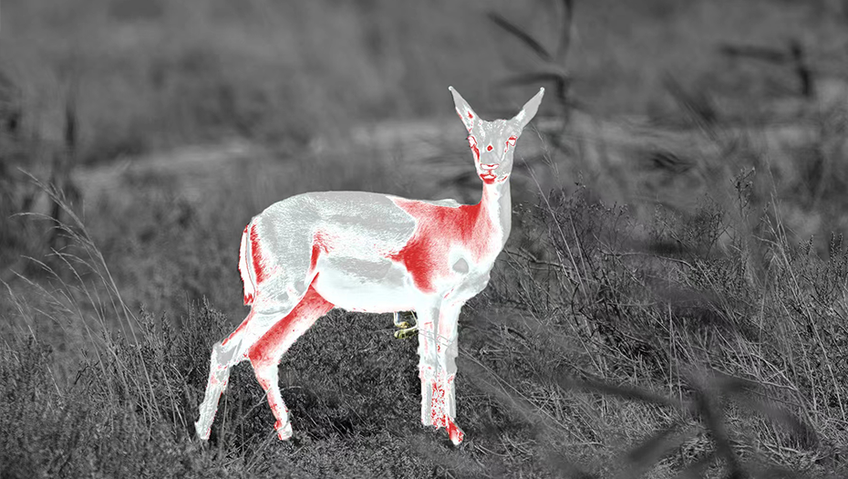 NVG ИК-осветитель